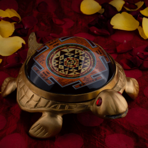 Kavach Services in Noida