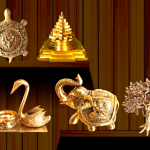 Vastu Products Services in Noida